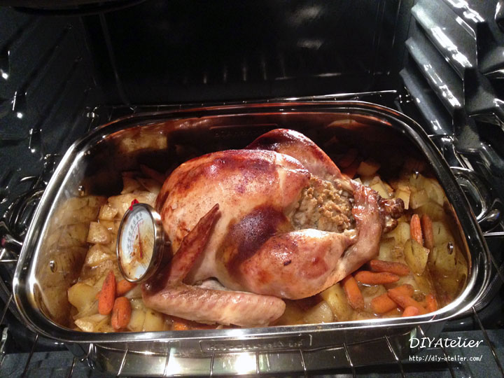 thanksgiving_turkey02